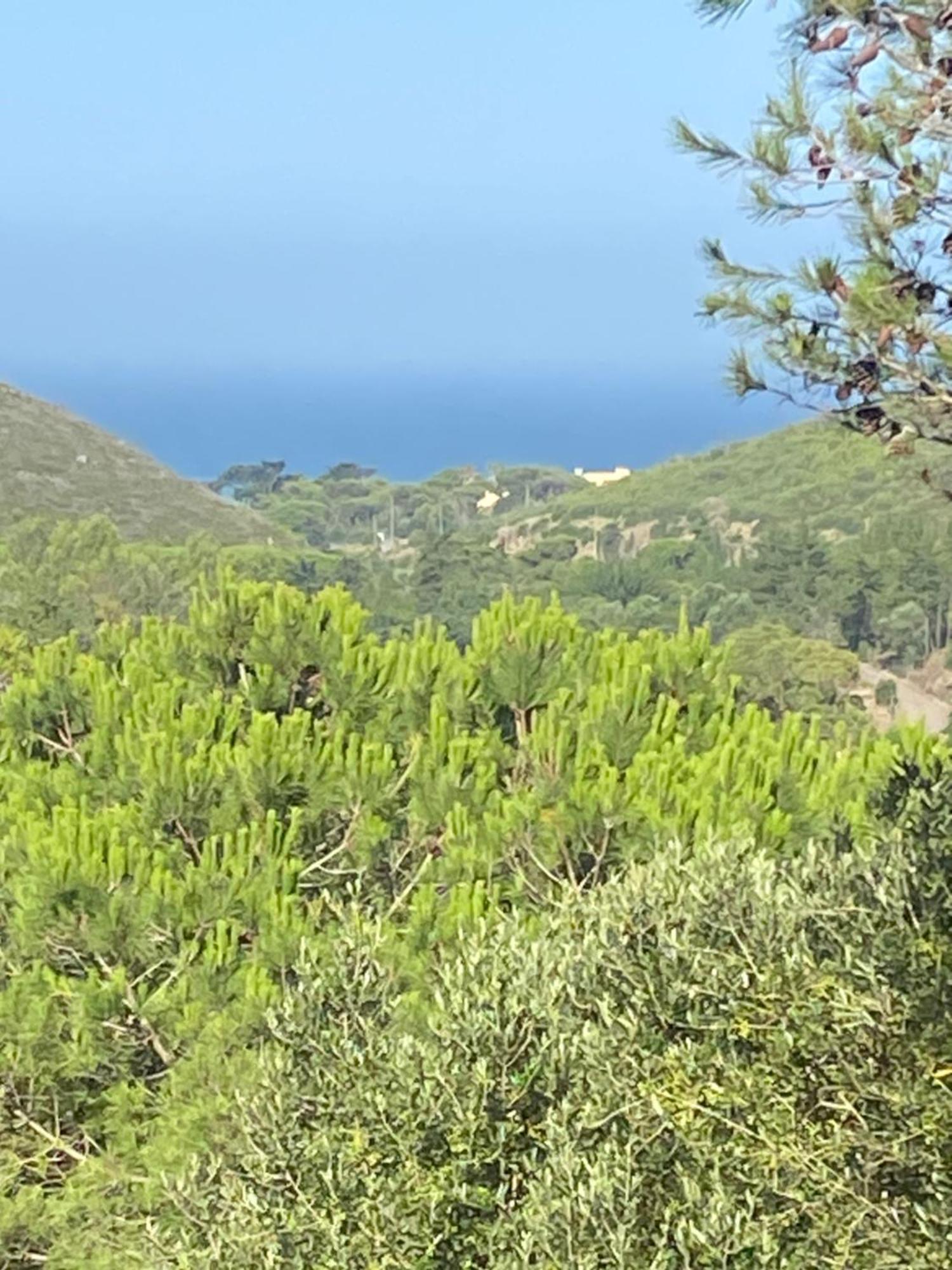 Amazigh Guincho Hostel & Suites Cascais Eksteriør bilde